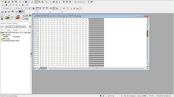 DPF EGR delete Checksum WinOLS