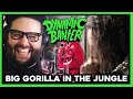 Dynamic banter 284  big gorilla in the jungle