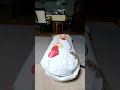 護って守護月天、シャオリン抱き枕膨らまし