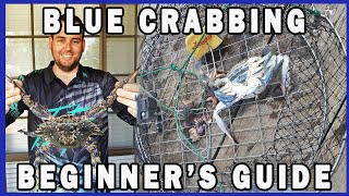 Catching Blue Swimmer Crabs For The First Time Adelaide Australia Catch & Cook