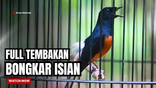 MASTERAN MURAI BATU FULL ISIAN TEMBAKAN MEWAH SANGAT AMPUH BUAT MASTERAN MURAI BATU ANDA