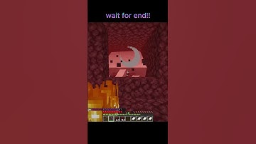 I Found The RAREST Block in Minecraft NETHER 🤯 (BEST LUCK EVER)