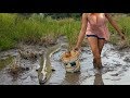 Amazing fishing at Battambang - people fishing in Cambodia - How to Catches fish (Part 203)