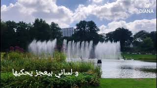 أنا مخلص بحبك وائل كفوري - غردها