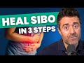 The most effective sibo treatments
