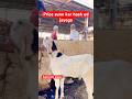 Price sunn kar hosh ud jayega #trending #viral #shorts #youtubeshorts #trendingshorts #viralshorts