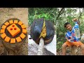 Survival Skills: The Guy Shows SURVIVAL Skills In Forest #camping #outdoors #bushcraft