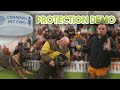 Protection demo with our dogs  how it went 