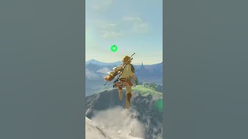 Hoe je schade kunt annuleren in Zelda BOTW