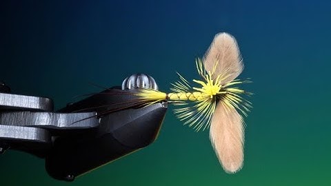 Fly Tying Regan