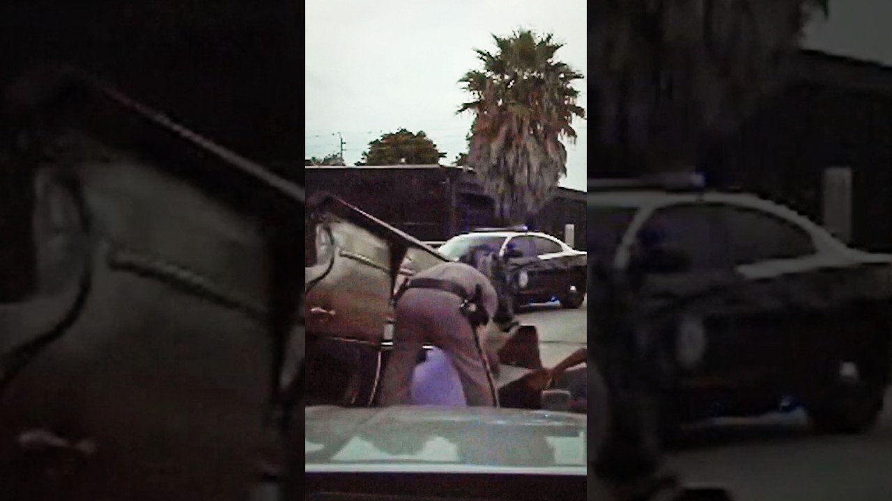 Video shows car flip during police chase Video shows car flip during police chase