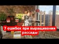 ОШИБКИ ПРИ ВЫРАЩИВАНИИ РАССАДЫ ТОМАТОВ, ПЕРЦА и ДР.