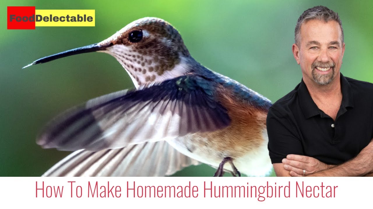 making homemade hummingbird nectar making homemade hummingbird nectar