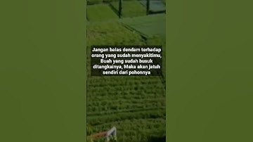 balas dendam bukan cara yang baik, kata-kata motivasi #shrots