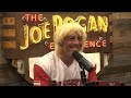 Joe Rogan: Does Elon Musk Regret Buying Twitter? Mp3 Song