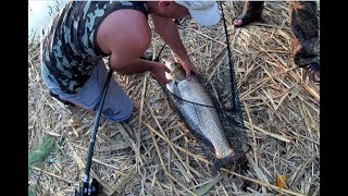 РЫБАЛКА / ПОКОРЕНИЕ БАЙКАЛА / ШОК !!! РЫБАЛКА / ПОКОРЕНИЕ БАЙКАЛА / ШОК !!!