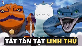 TẤT TẦN TẬT CÁC LINH THÚ TỪNG XUẤT HIỆN TRONG NARUTO VÀ BORUTO