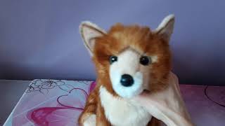 Unboxing Penny the Russet Pomsky plush by Douglas Cuddle Toys