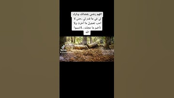 من سورة الكهف ، القارئ أحمد المصري صوت ما سمعته من قبل