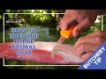 Preparing the three Primal Cuts - Hunting Aotearoa Tip -  Part 10