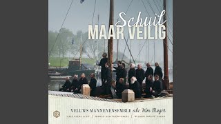 Miniatura de vídeo de "Veluws Mannenensemble - Amen! Hallelujah!"