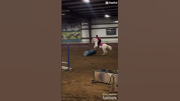 Okay this is my first video using Funimate i still need to figure it out tell me recs for dif app