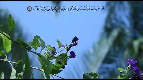 ﴿أَم حَسِبتَ أَنَّ أَصحابَ الكَهفِ والرَّقيمِ كانوا مِن آياتِنا عجبا...سورة الكهف/القارئ نعمة الحسان