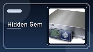 Mettler Toledo PS6L U1103 000 LETTER PARCEL Honest Review 2026