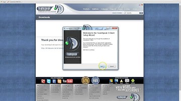 Professional TS3 Guide