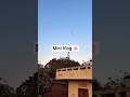 Meri vlogging journey ka aaj 24va minivlog hai aur av tak mere 100 subscriber nhi huye hai🥺 #support