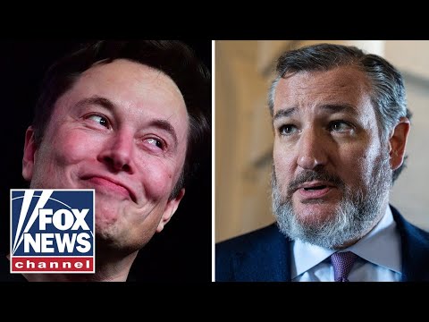 Ted cruz exposes the ‘highest level’ of corruption revealed by elon musk