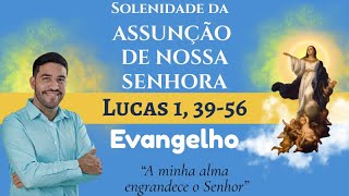 Evangelho Lucas 1, 39-56 Assunção De Nossa Senhora 17082025
