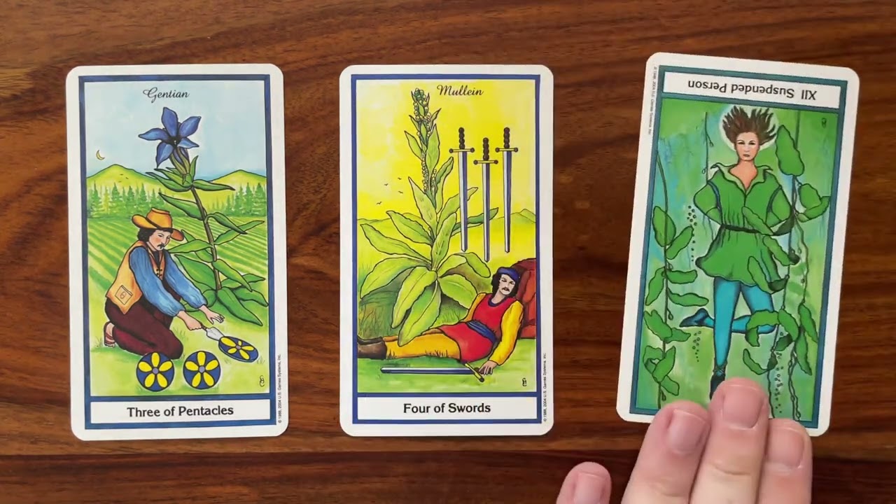 Alter your perspective 5 September 2022 Your Daily Tarot Reading with Gregory Scott