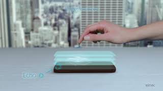 Gesture recognition & haptic feedback animation Net Worth