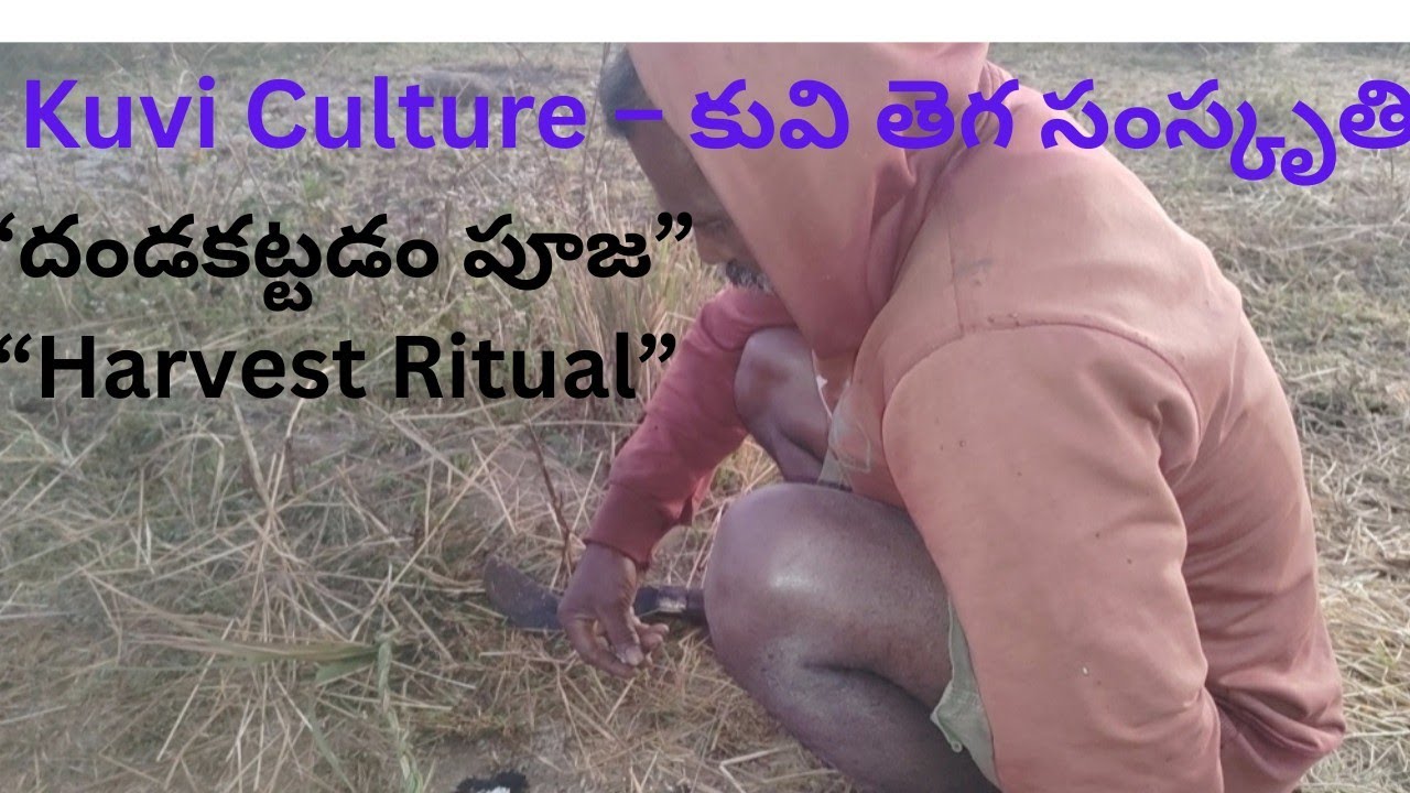 “ధాన్యం నూరుపు ముందు దండ కట్టడం పూజ | Village Harvest Ritual | Tribal ...