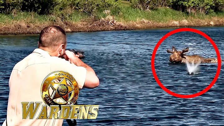 Wardens: Never Ending Day & Angry Like a Moose | FD Real Show