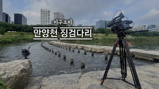 안양천 징검다리 사이에 들리는 물소리 - 4K 백색소음 ASMR