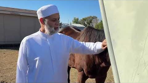 الشيخ حسن صالح | ما تيسر من سورة النحل - تلاوة طيبة .