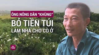 Vợ chồng nông dân "khùng", bỏ tiền túi "làm nhà" cho cò, vạc về trú ngụ, nhất quyết bảo vệ đàn cò