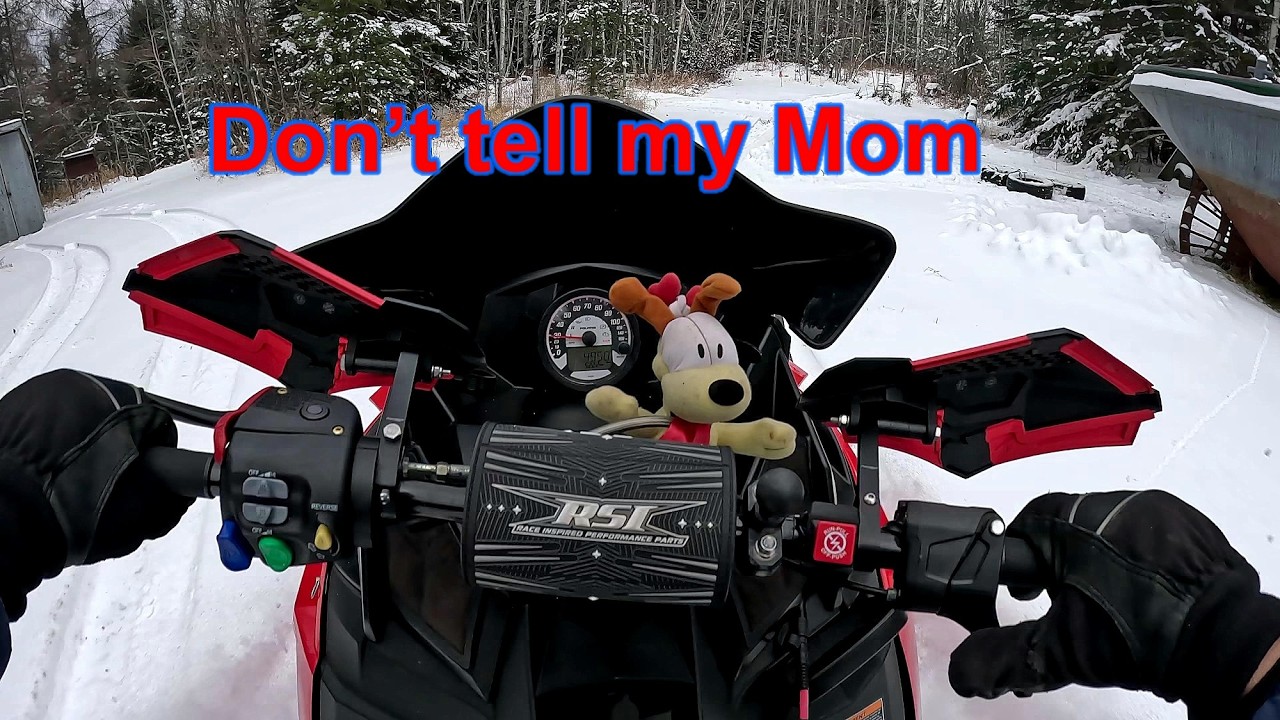 Только не говорите моей маме, что она купила новую зимнюю игрушку, чтобы немного размяться.