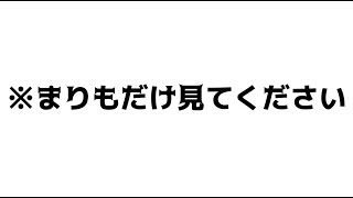 まりもが遊ぶ動画