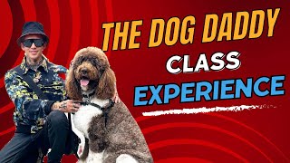 Dog Trainer Teaches All About Reactive/Aggressive Dogs/ The Dog Daddy