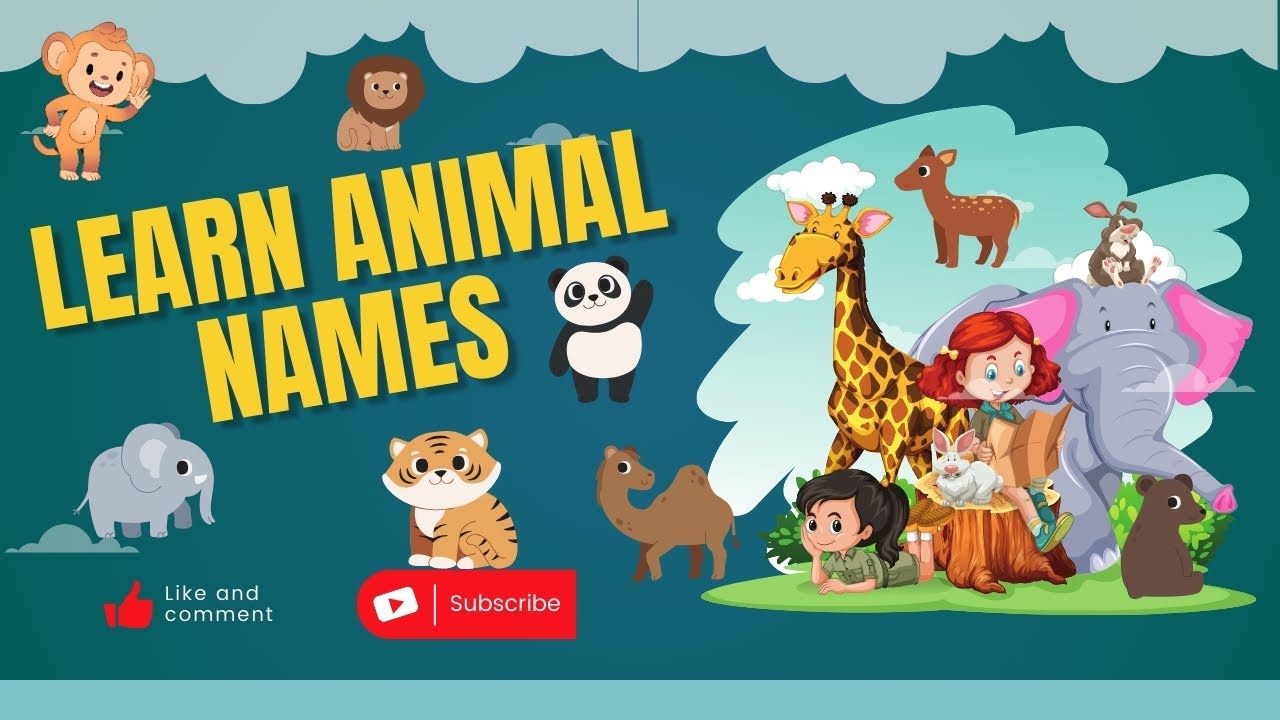 Learn Animal Names with Pictures | Fun and Educational for Kids! by ...