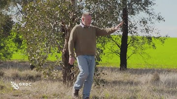 Spray Application GROWNOTES™: DRT - barrier structure