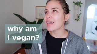 What I wish I knew BEFORE going VEGAN