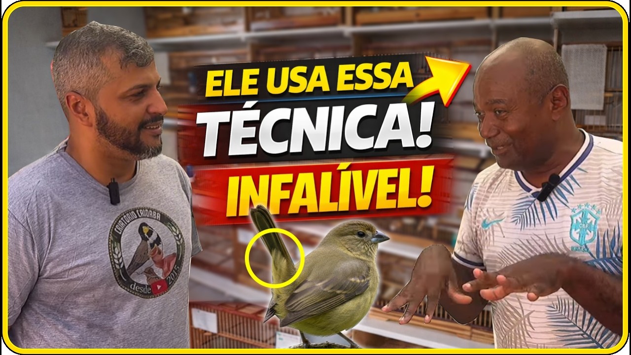 NUNCA VI ISSO NA REPRODUÇÃO !