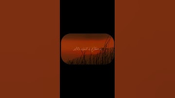 اكتب شيء تؤجر عليه #القرآن_الكريم #سورة_مريم #القارئ_يوسف_الصقير
