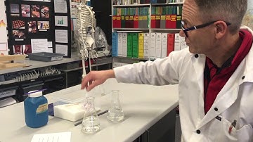 Making a Sugar Solution