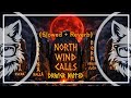Draugr Balled North Wind Calls Slowed Reverb 