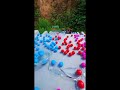 Breaking glass bottle⚠️🔥Crushing Crunchy &amp; Soft Things1 #asmr #shorts #asmrsound #satisfyingvideo